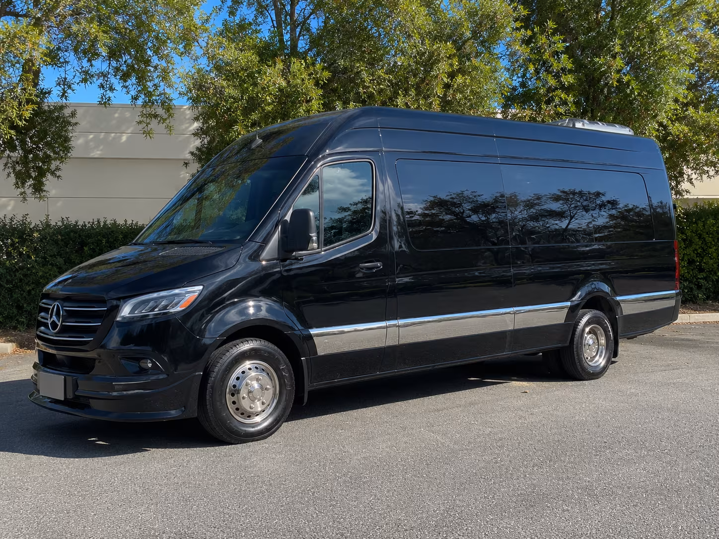 seattle 12 passenger sprinter van