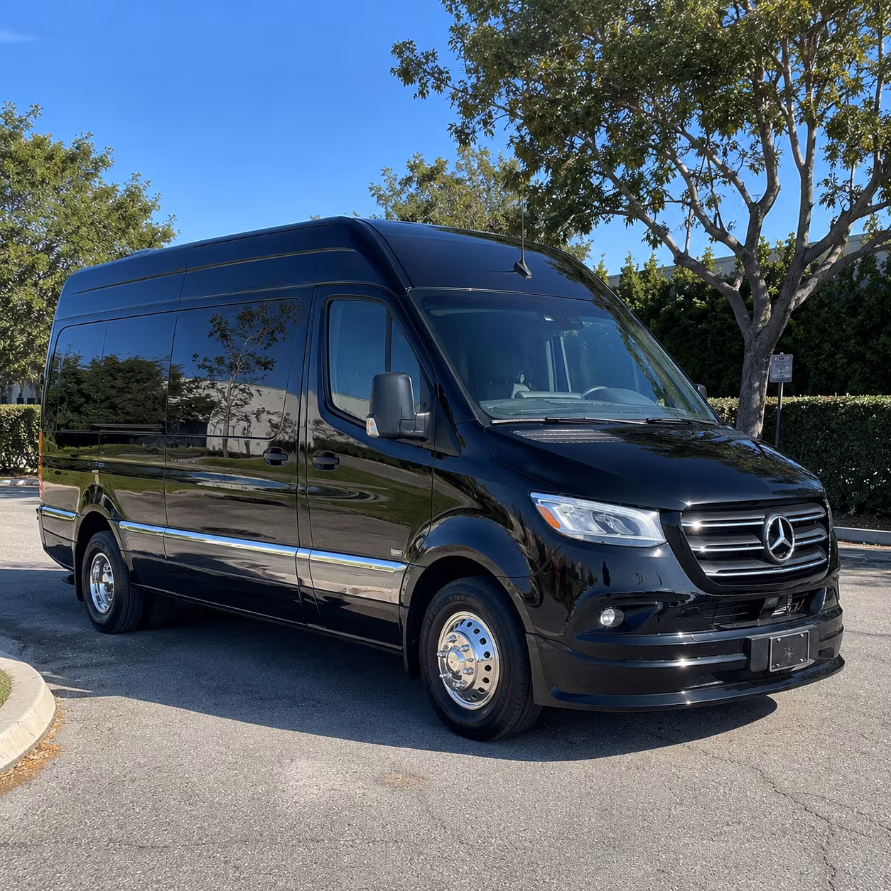 seattle bachelor and bachelorette party sprinter van rentals